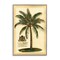 Stupell Industries British Colonial Palm Framed Giclee, design by Vision Studio
